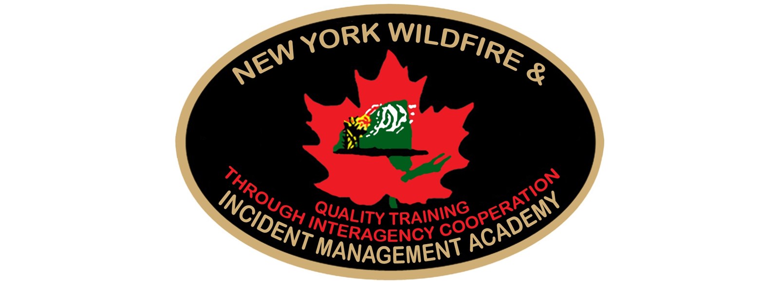 Register for the Fall 2023 Wildfire and Incident Management Academy