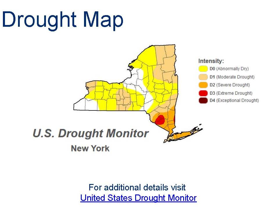 January_2017_NYS_Drought_map
