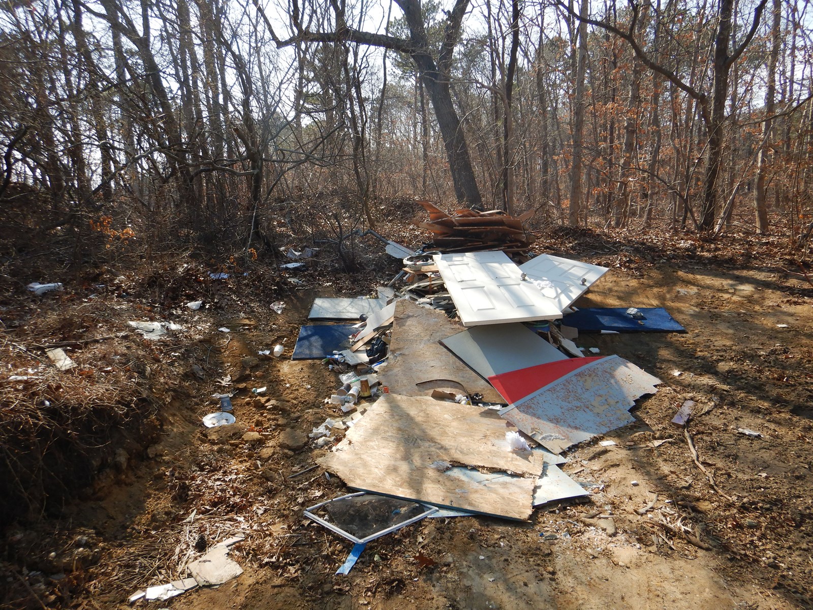 Illegal dumping of construction debris in the Central Pine Barrens