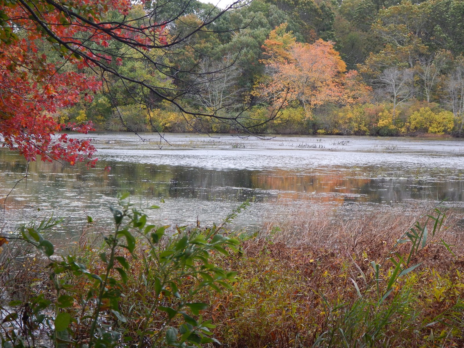 autumn_on_Peconic_River