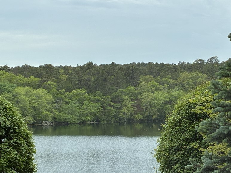 Wildwood Lake