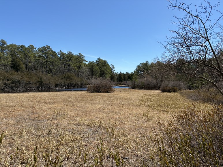 Division Pond, Hampton Bays