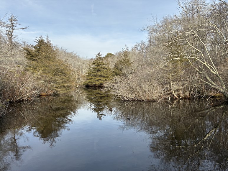 Quogue Wildlife Refuge