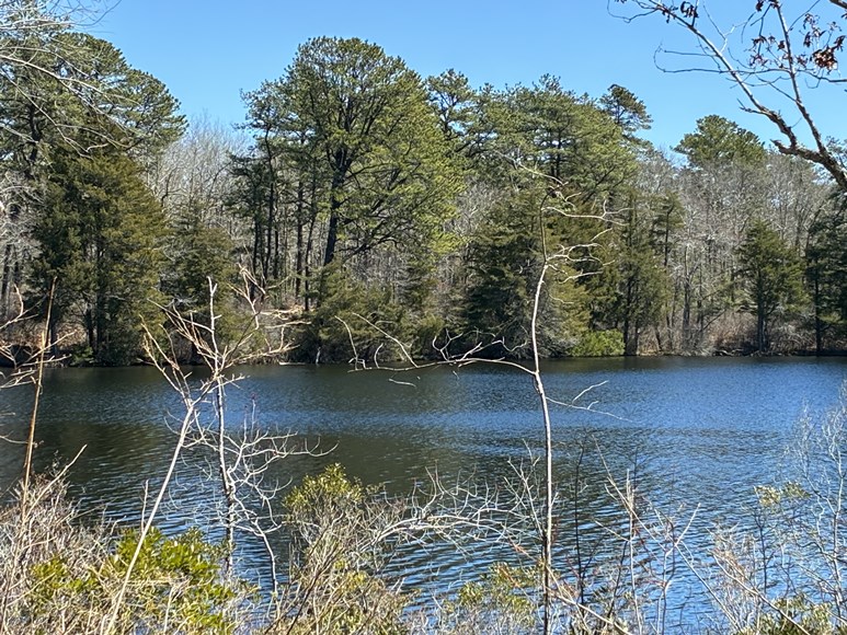 Sears Pond