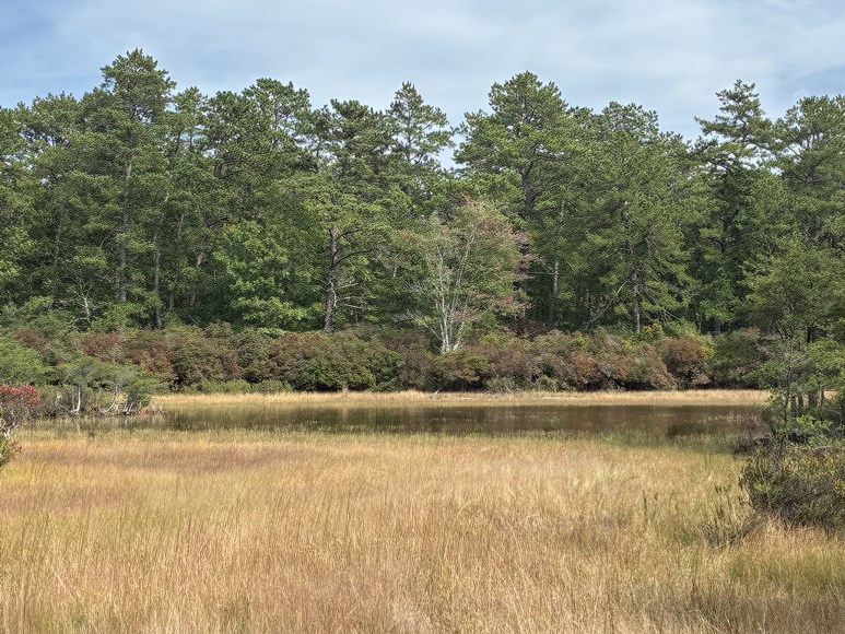 Division Pond, Sears Bellows
