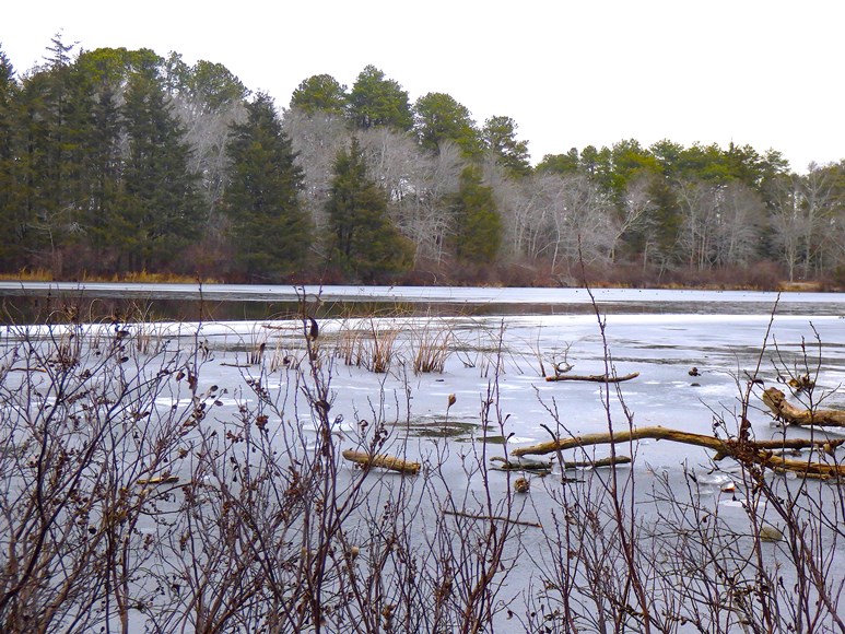 Cranberry Bog County Park
