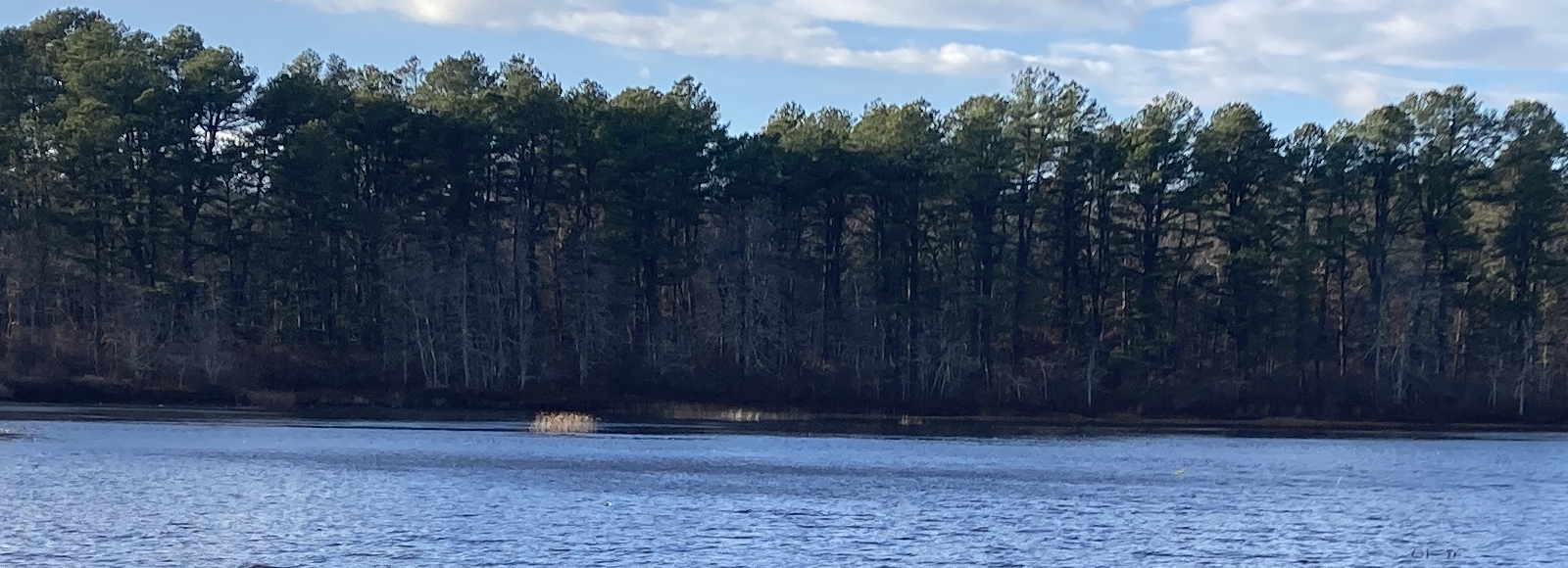 Celebrating 32 years of protecting a unique ecosystem for current and future generatio