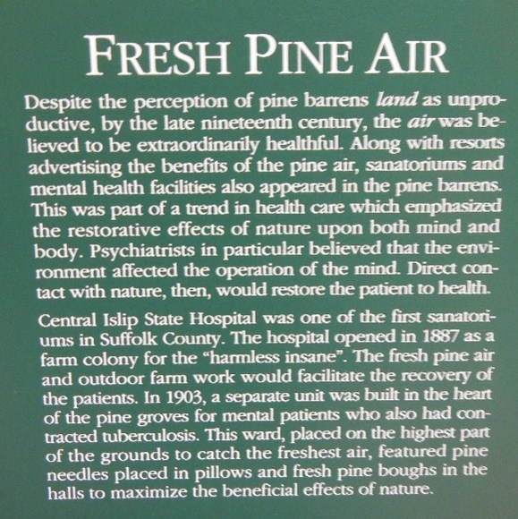 Fresh Pine Air